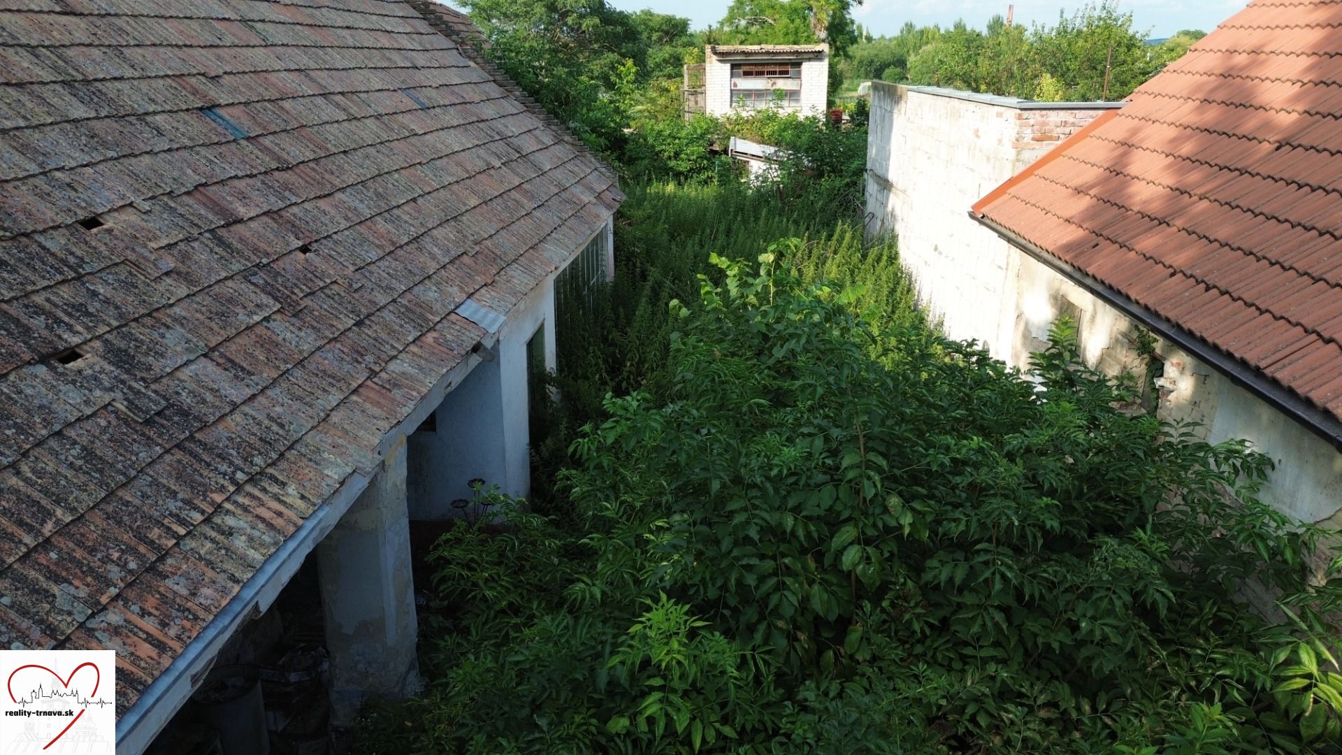 DJI_0537.JPG
